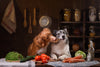 What Fruits and Vegetables Can Dogs Eat