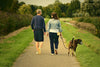 January Is Walk Your Pet Month - 4 Reasons Why Walks Are So Important For Dogs