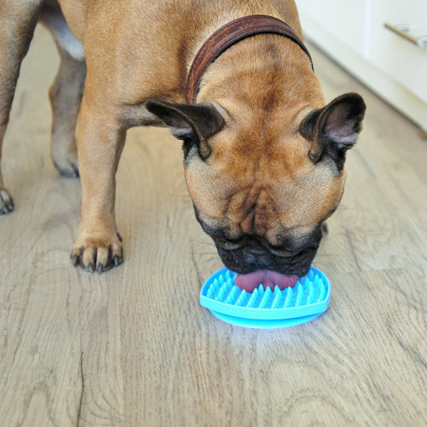 Dog using lick mat