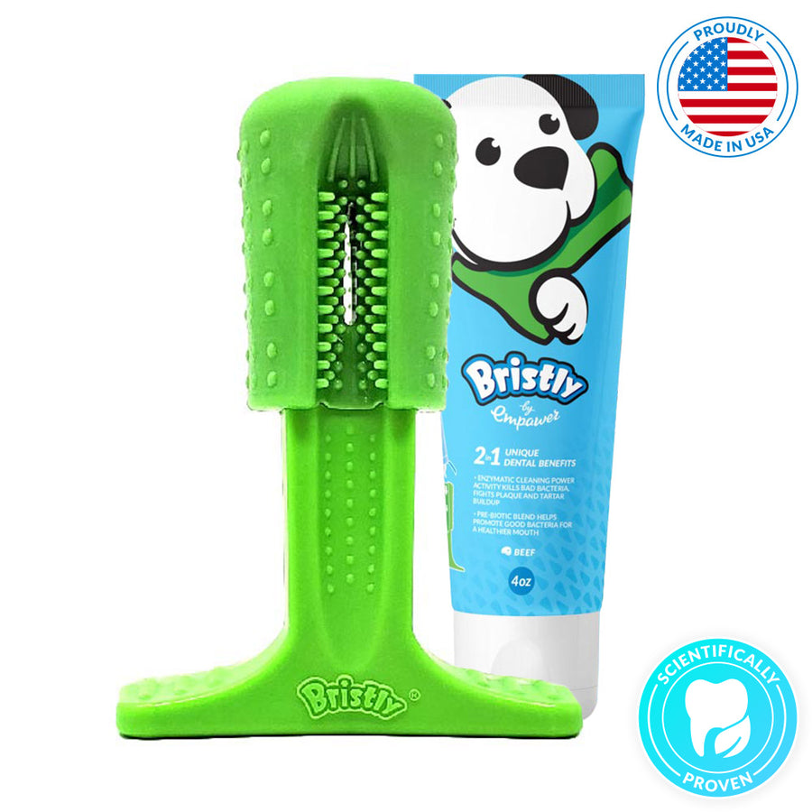 Bristly dog outlet toothbrush review