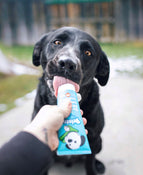 Dog licking Bristly Toothpaste